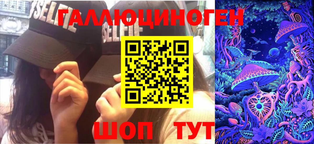 Галлюциногенные грибы Psilocybine cubensis Дедовск
